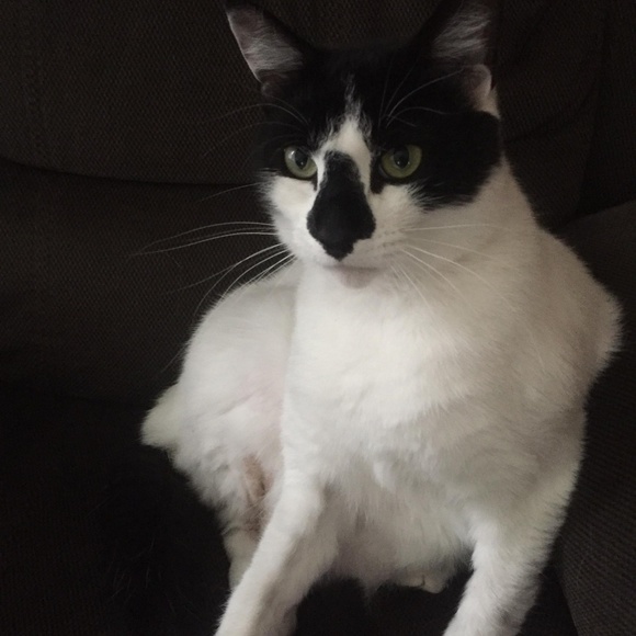 Meet your Posher, Mstng97lvr run by Sarah - Picture 6 of 10